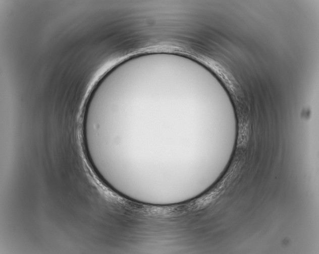 X0000096491086200801241205