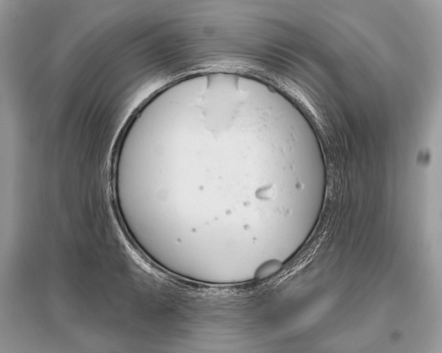 X0000096491087200801241205