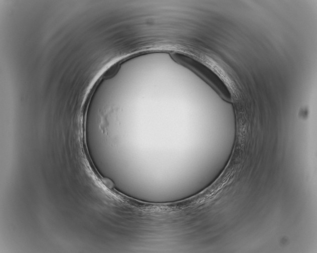 X0000096491092200801241205