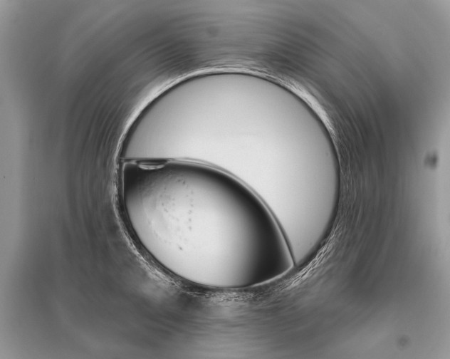 X0000096491093200801241205