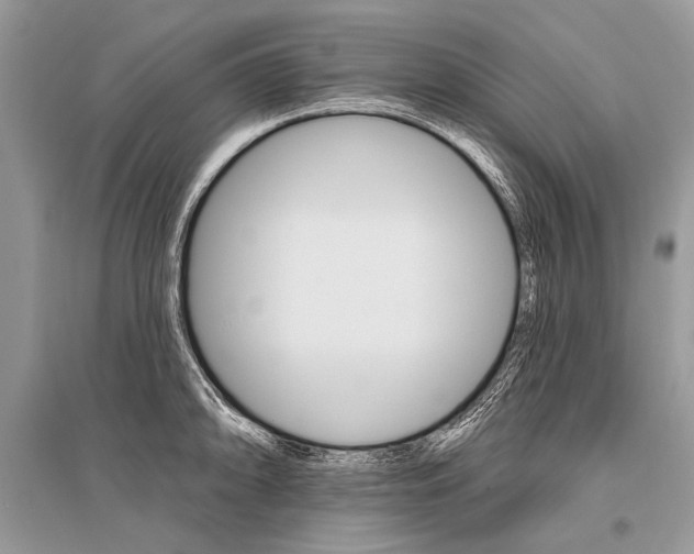 X0000096491094200801241205