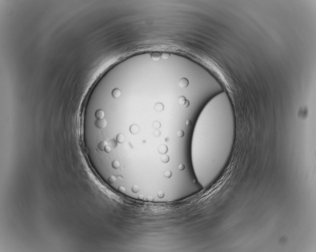 X0000096491095200801241204