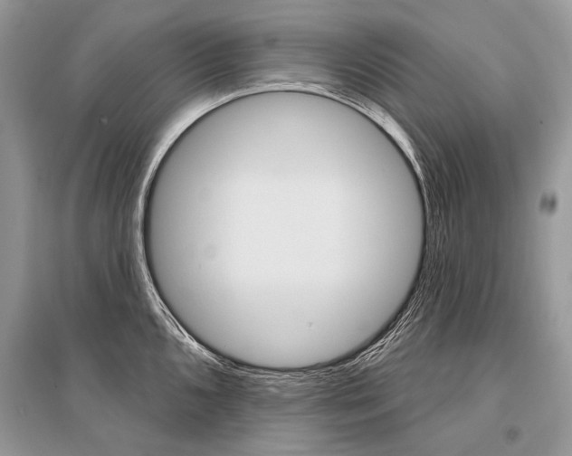 X0000096491096200801241204