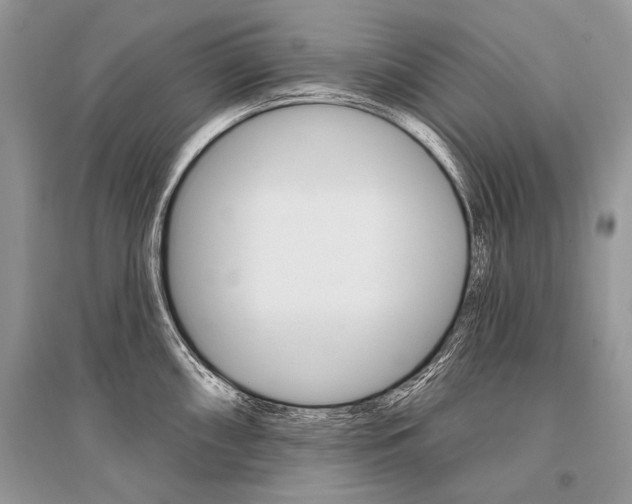 X0000096491098200801241204