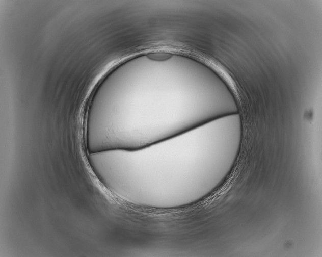 X0000096491099200801241204