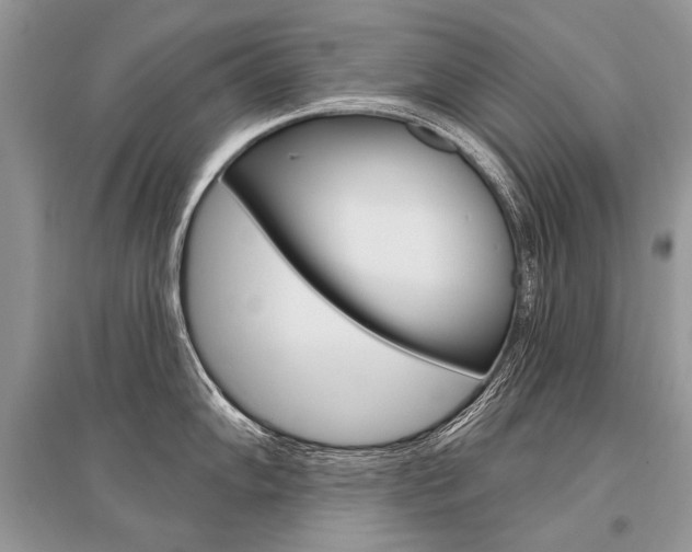 X0000096491102200801241204