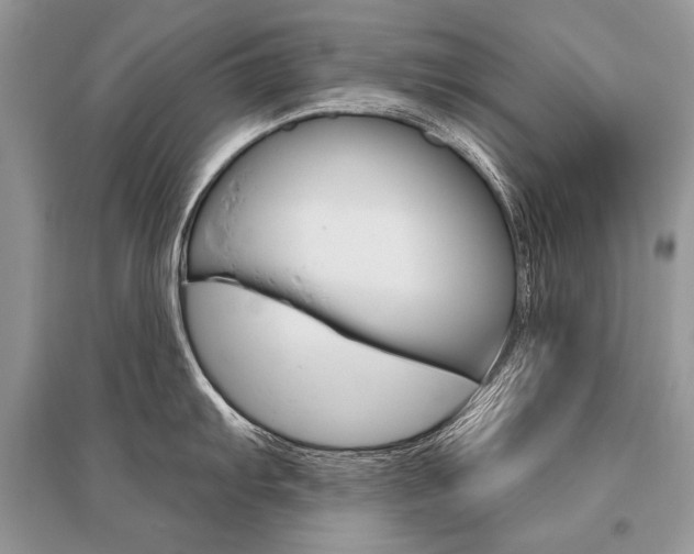 X0000096491103200801241204
