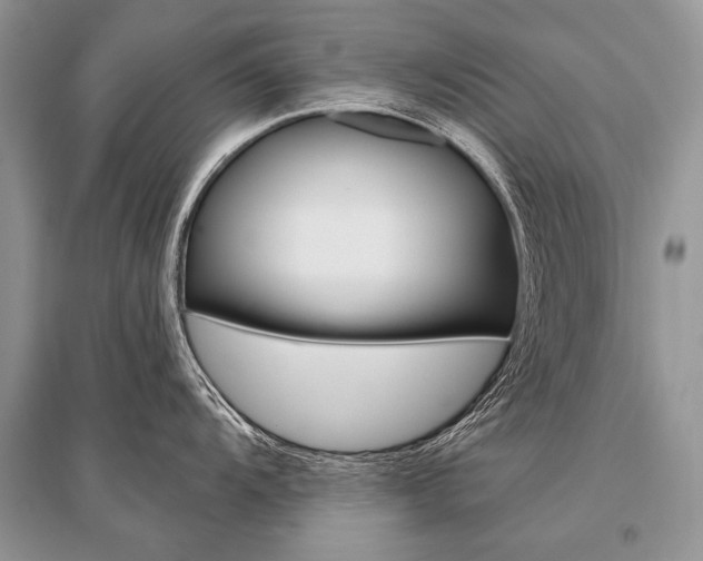 X0000096491104200801241204