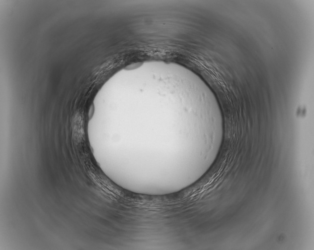 X0000096491106200801241204