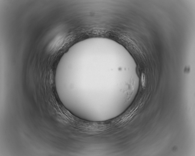 X0000096491107200801241204