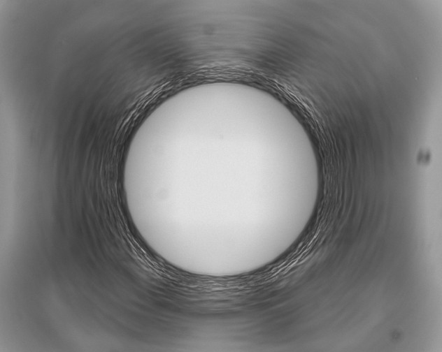 X0000096491108200801241204
