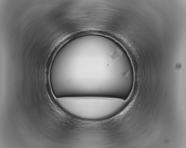 X0000096491113200801241204