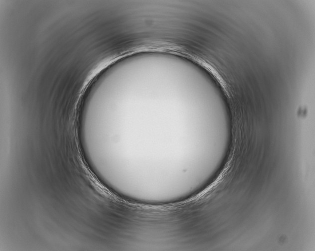 X0000096491114200801241204