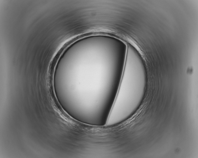 X0000096491116200801241204