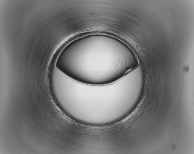 X0000096491118200801241204