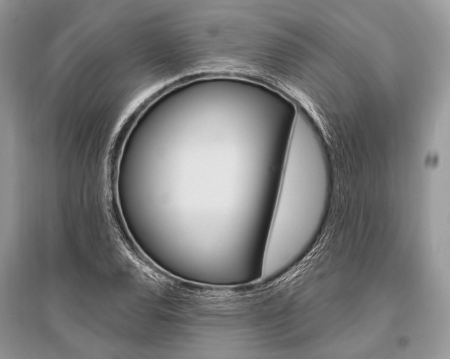 X0000096491120200801241204