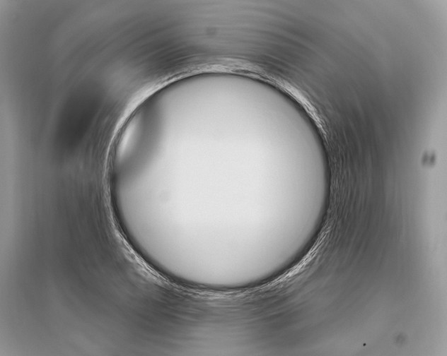 X0000096491122200801241204