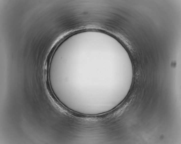 X0000096491126200801241204