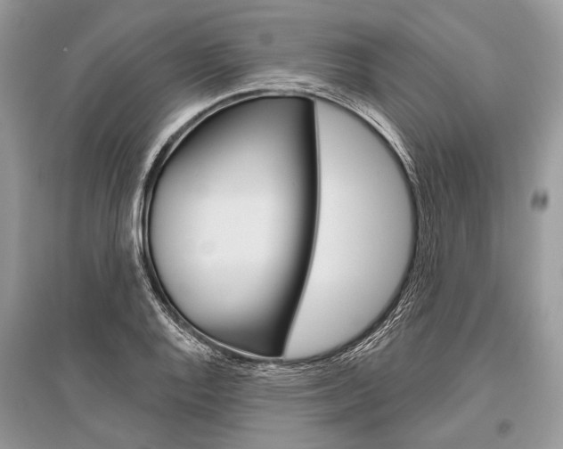 X0000096491128200801241204