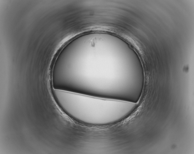 X0000096491133200801241204