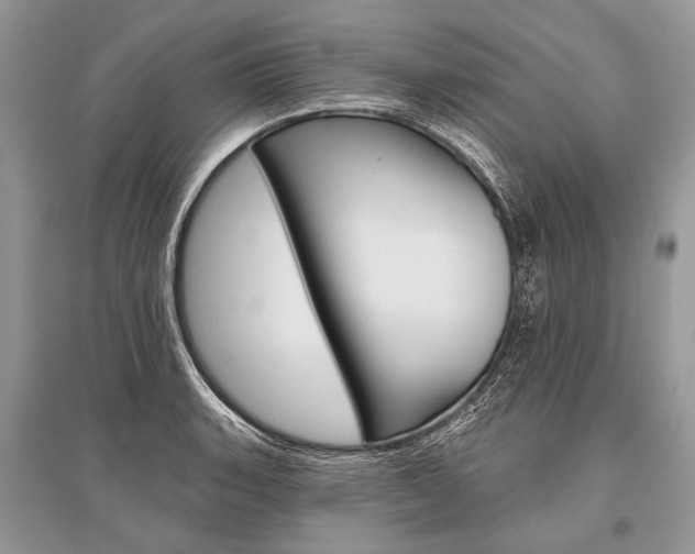 X0000096491135200801241204