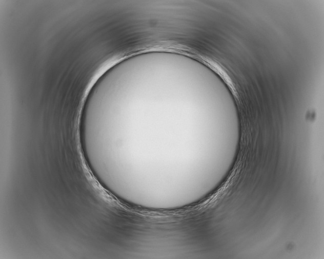 X0000096491138200801241204