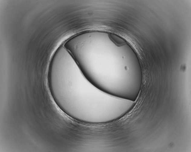 X0000096491139200801241204