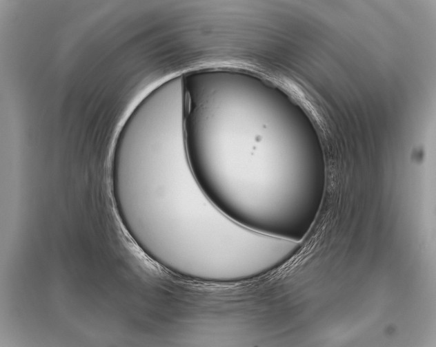 X0000096491140200801241204