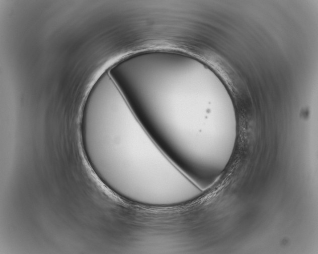 X0000096491142200801241204