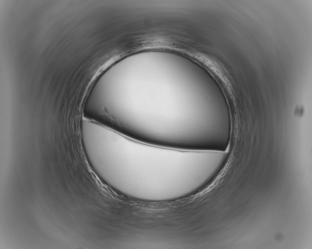 X0000096491145200801241204