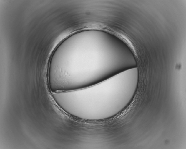 X0000096491146200801241204