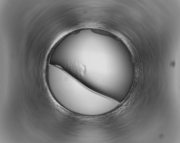 X0000096491147200801241204