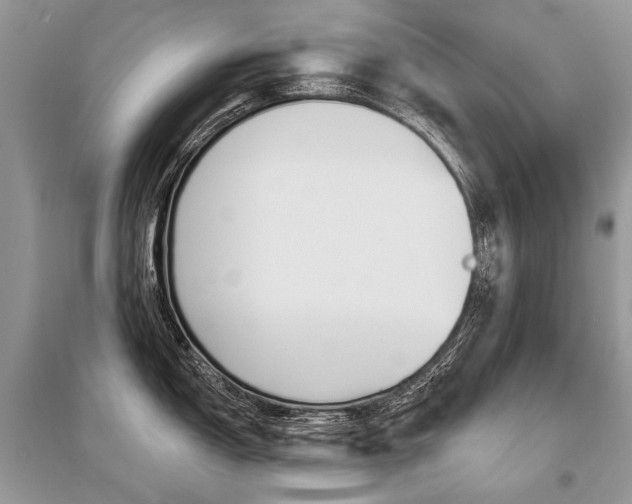 X0000096491150200801241204