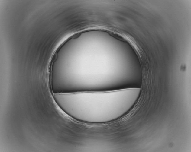 X0000096491151200801241204