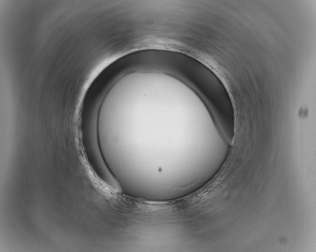 X0000096491152200801241204
