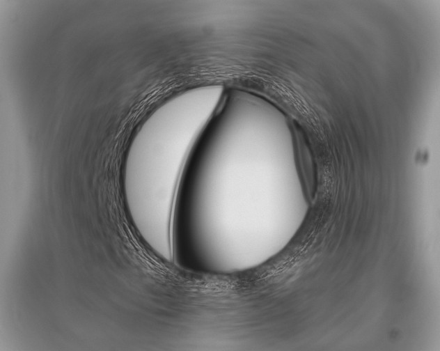 X0000096491153200801241204
