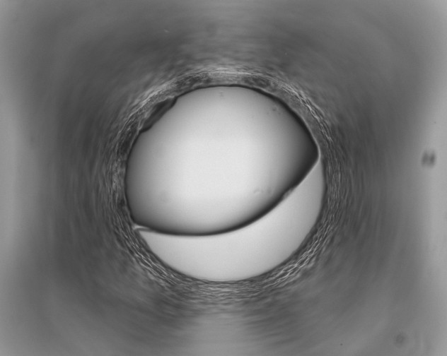 X0000096491157200801241204