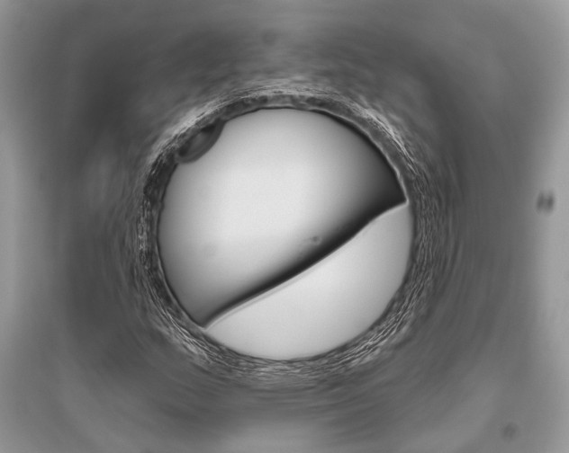 X0000096491159200801241204