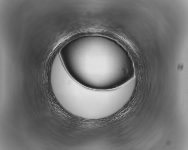 X0000096491160200801241204