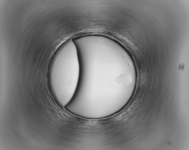 X0000096491162200801241204