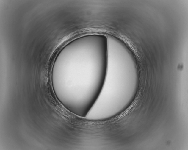 X0000096491165200801241204