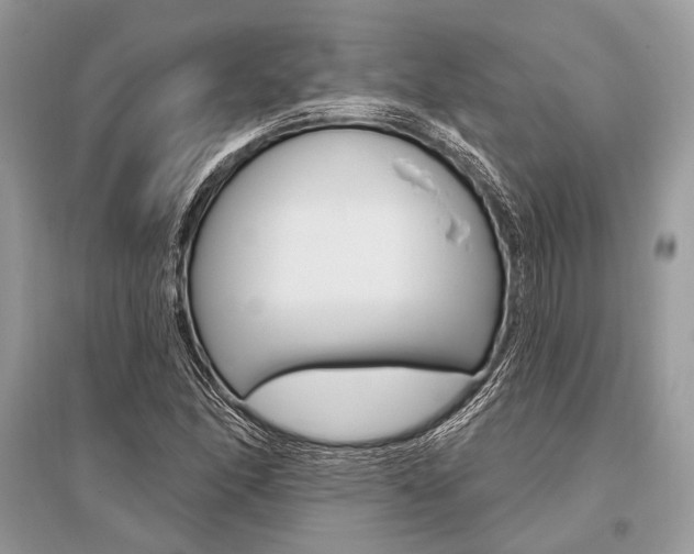 X0000096491166200801241204
