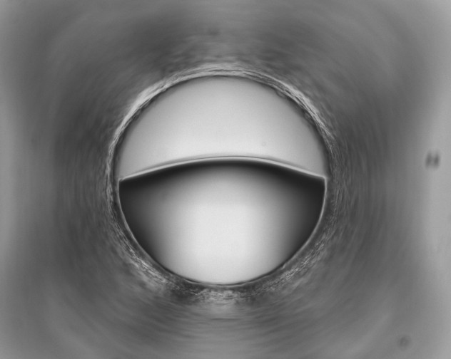 X0000096491168200801241203