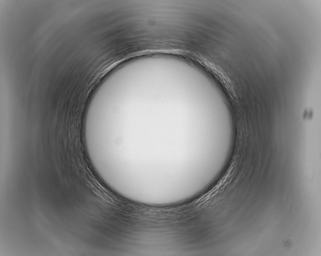 X0000096491169200801241203