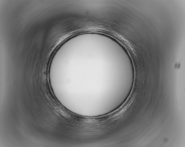 X0000096491170200801241203