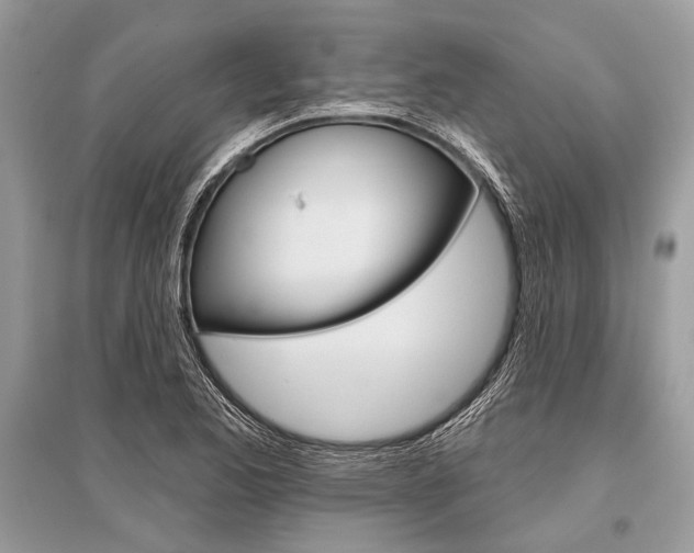 X0000096491173200801241203