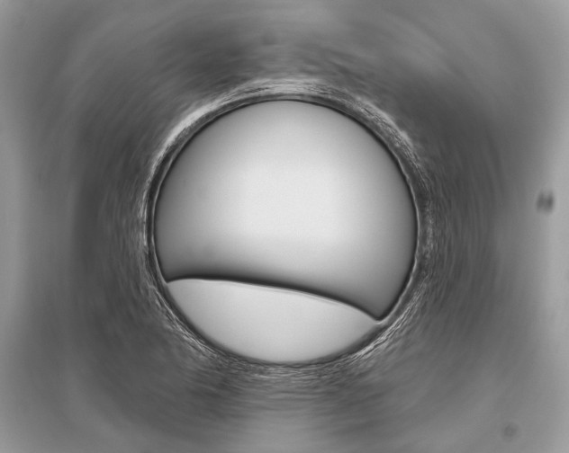 X0000096491174200801241203