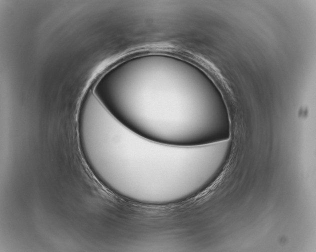 X0000096491176200801241203