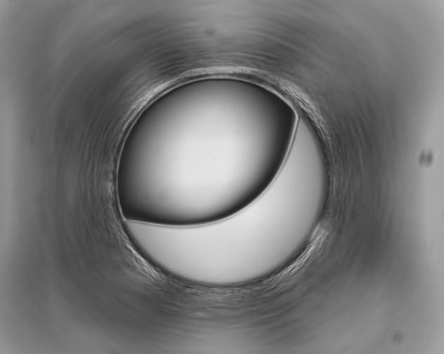 X0000096491177200801241203