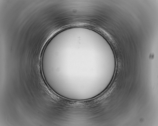 X0000096491178200801241203
